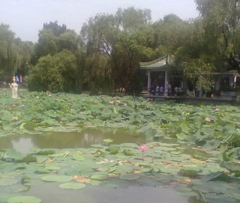 【金戈铁马，昭陵下江山风雨情。】8