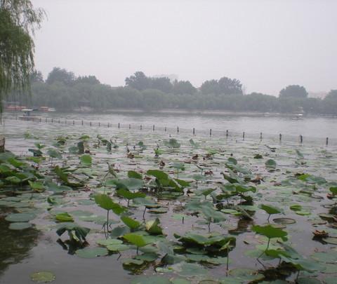 毕业旅行-----------------济南11