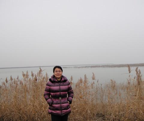 团泊洼，你去过吗？10