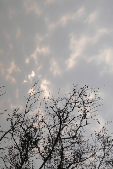 团泊洼，你去过吗？12