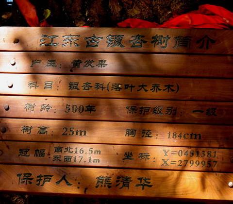 腾冲，腾冲，迟来的救一把！46