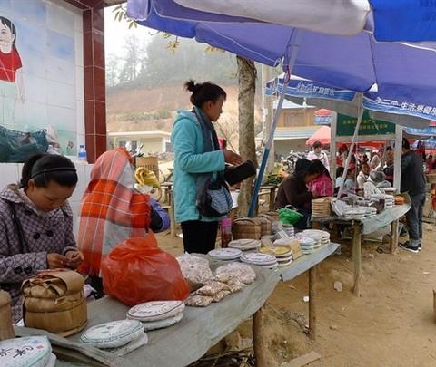 疯子出品—6天—1123元—西双版纳（望天树/中科植物园/曼点瀑布/打洛缅甸边境/勐远仙境）117