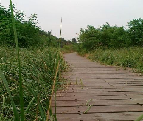 我的大学所在地——秦皇岛(2)22