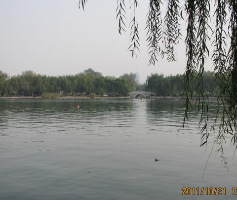 难忘的旅行之济南篇28