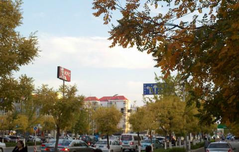秦皇岛街景1