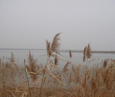 团泊洼，你去过吗？8