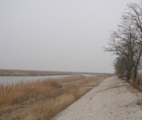 团泊洼，你去过吗？6