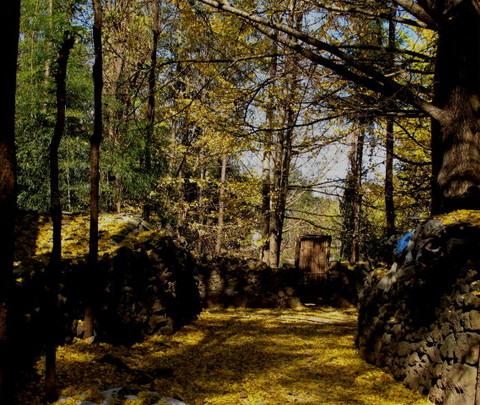 腾冲，腾冲，迟来的救一把！45