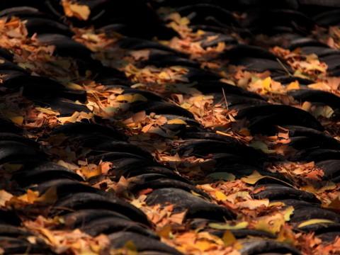 腾冲，腾冲，迟来的救一把！50