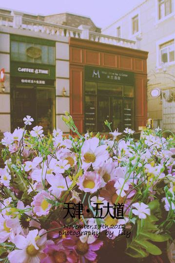 北国印象——京津24