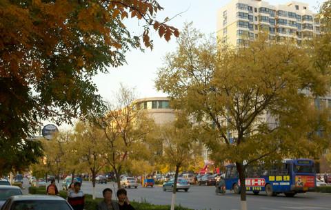 秦皇岛街景9