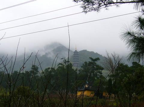 回忆2008----宁波•东钱湖—天童寺21
