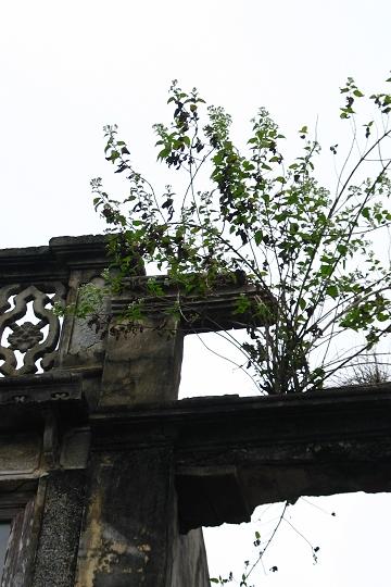 骑楼老街8