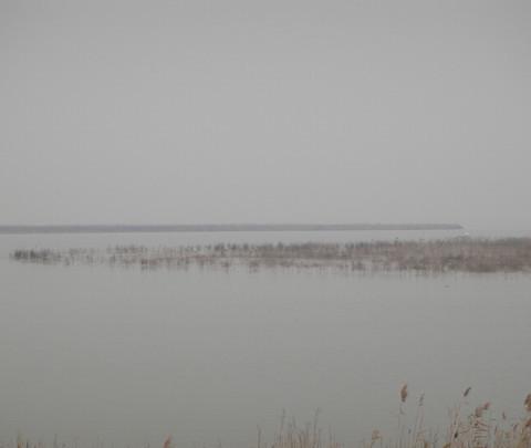 团泊洼，你去过吗？5