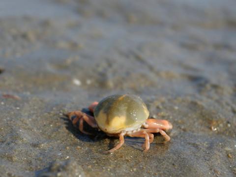 溜达在天津的两天