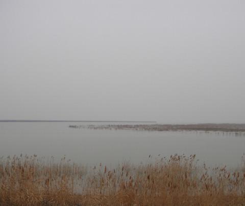 团泊洼，你去过吗？1