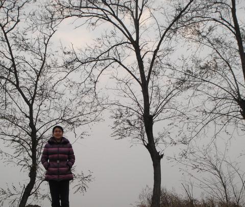 团泊洼，你去过吗？11