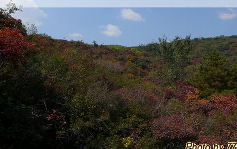 蜻蜓点水山西行 之六 太原龙山石窟与红叶13