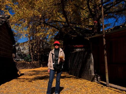 腾冲，腾冲，迟来的救一把！53