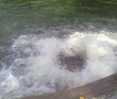 【金戈铁马，昭陵下江山风雨情。】10