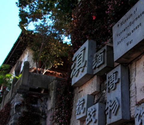 腾冲，腾冲，迟来的救一把！16