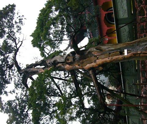 回忆2008----宁波•东钱湖—天童寺29