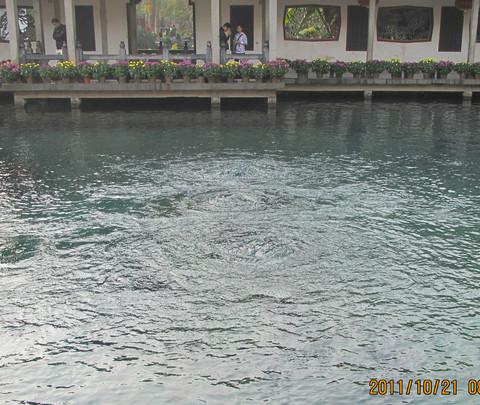 难忘的旅行之济南篇17