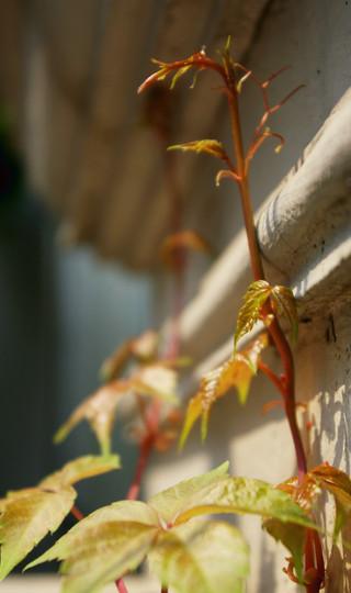 溜达在天津的两天