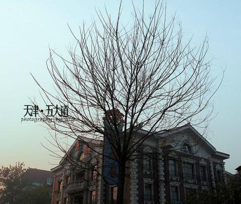 北国印象——京津29