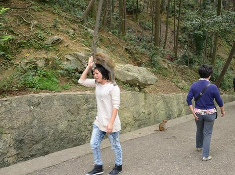 一个人的旅行-多彩贵州4