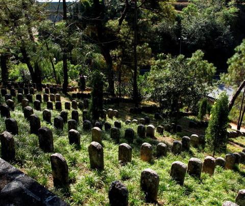 腾冲，腾冲，迟来的救一把！107