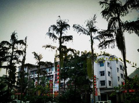 一个人的旅行-多彩贵州23