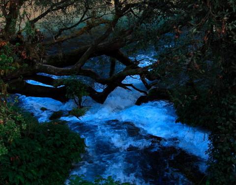 腾冲，腾冲，迟来的救一把！60