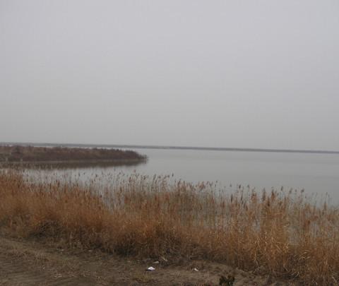 团泊洼，你去过吗？4