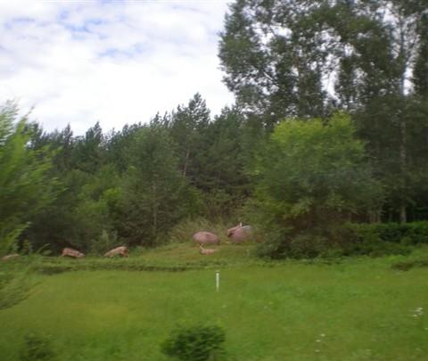 大兴安岭~09年9月风光11