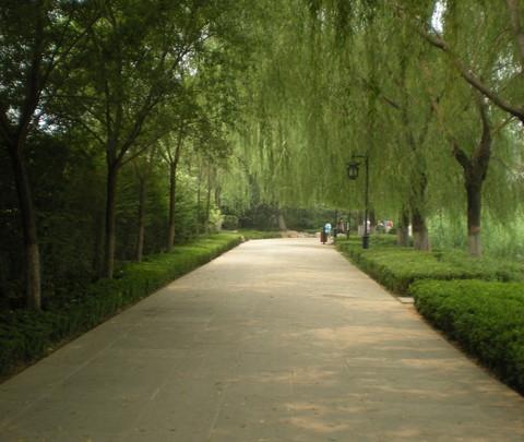 毕业旅行-----------------济南13