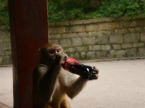 一个人的旅行-多彩贵州3