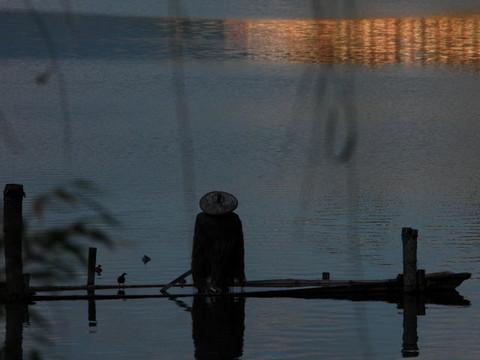 腾冲，腾冲，迟来的救一把！33