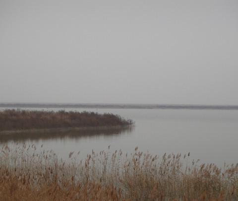 团泊洼，你去过吗？2