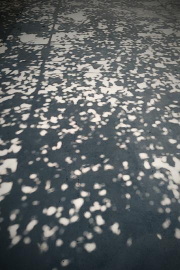 继续看海之秦皇岛北戴河昌黎葡萄沟32