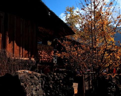 腾冲，腾冲，迟来的救一把！43