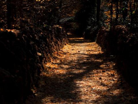 腾冲，腾冲，迟来的救一把！51