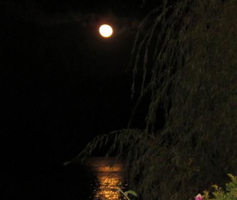 腾冲，腾冲，迟来的救一把！5