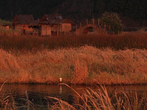 腾冲，腾冲，迟来的救一把！57