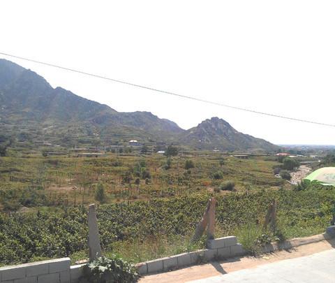 继续看海之秦皇岛北戴河昌黎葡萄沟31