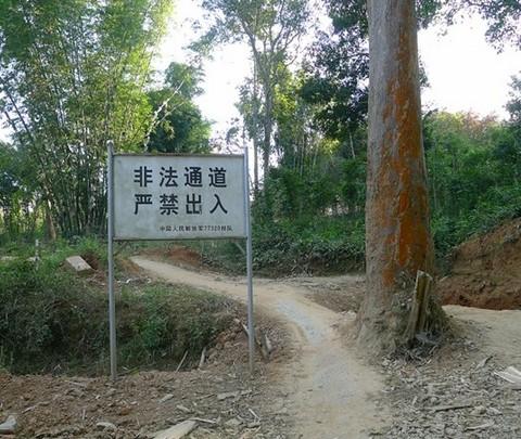 疯子出品—6天—1123元—西双版纳（望天树/中科植物园/曼点瀑布/打洛缅甸边境/勐远仙境）138