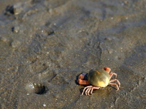溜达在天津的两天