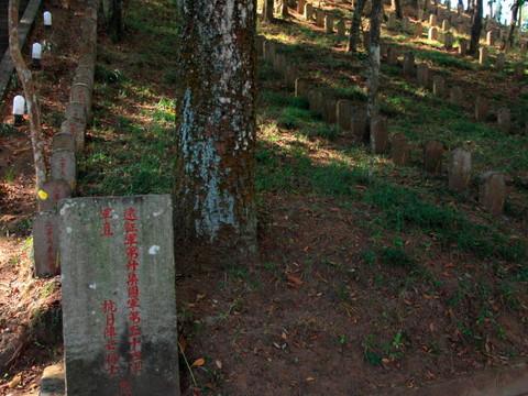 腾冲，腾冲，迟来的救一把！103