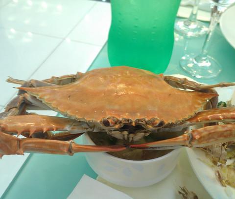 继续看海之秦皇岛北戴河昌黎葡萄沟25