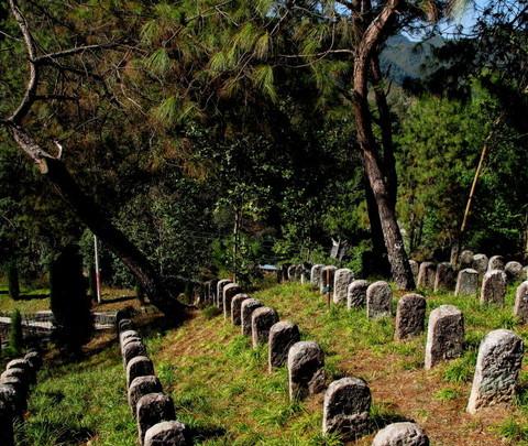 腾冲，腾冲，迟来的救一把！106